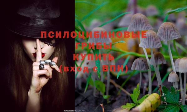 марки nbome Кодинск