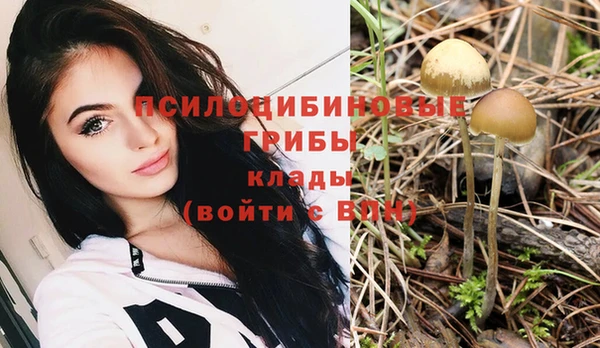 спиды Козловка