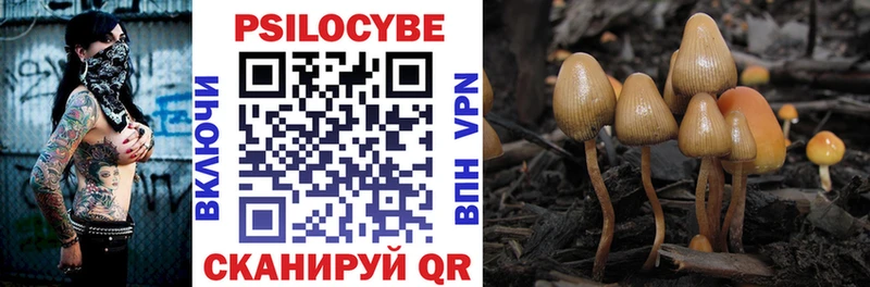 Галлюциногенные грибы MAGIC MUSHROOMS  Купить закладки  Ивантеевка 